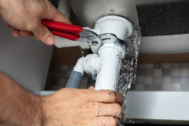 Best Flooded house restoration  in Cedar Springs, MI
