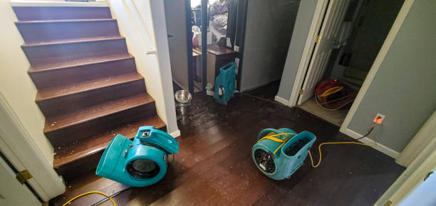 Best Basement water damage restoration  in Cedar Springs, MI
