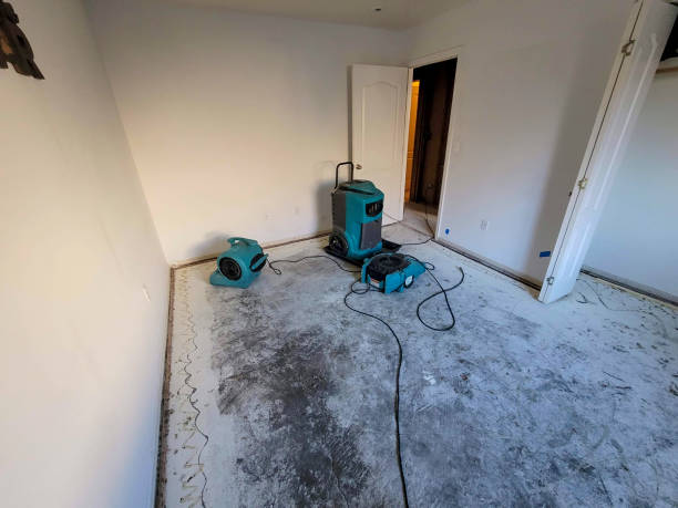 Best Sewage cleanup and water damage restoration  in Cedar Springs, MI