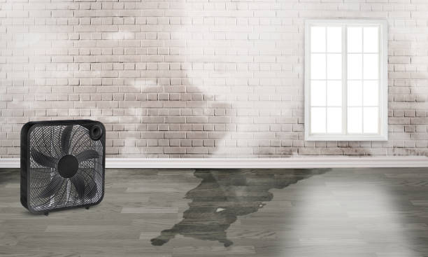 Water damage restoration insurance claims in MI