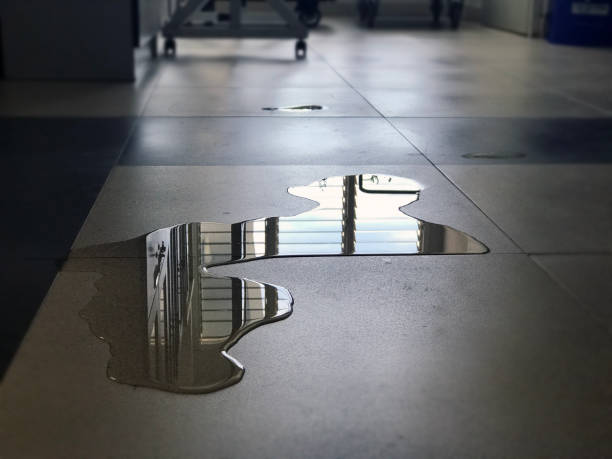 Best Water damage restoration specialists  in Cedar Springs, MI