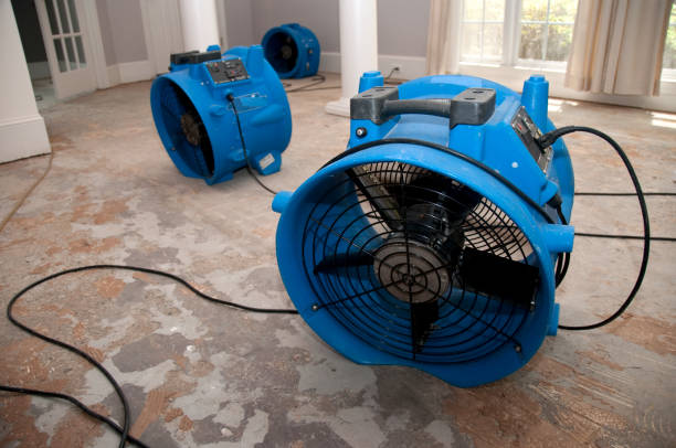 Best Flood damage cleanup  in Cedar Springs, MI