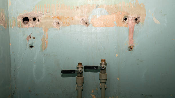 Best Flooded house restoration  in Cedar Springs, MI
