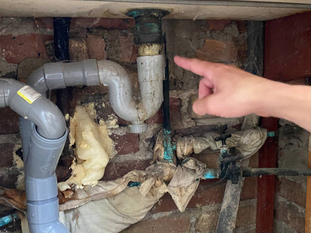 Best Water damage restoration near me  in Cedar Springs, MI