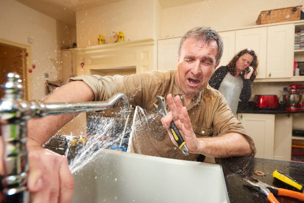 Best Water damage contractors near me  in Cedar Springs, MI